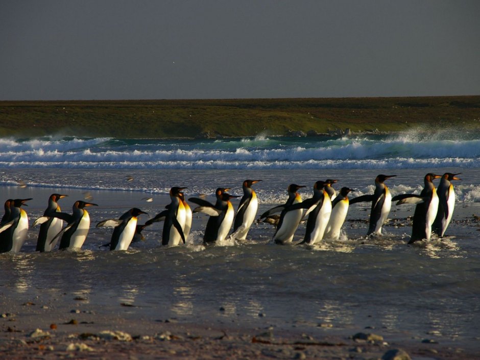 Tierra del Fuego фильм