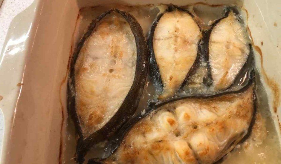 Морской волк зубатка