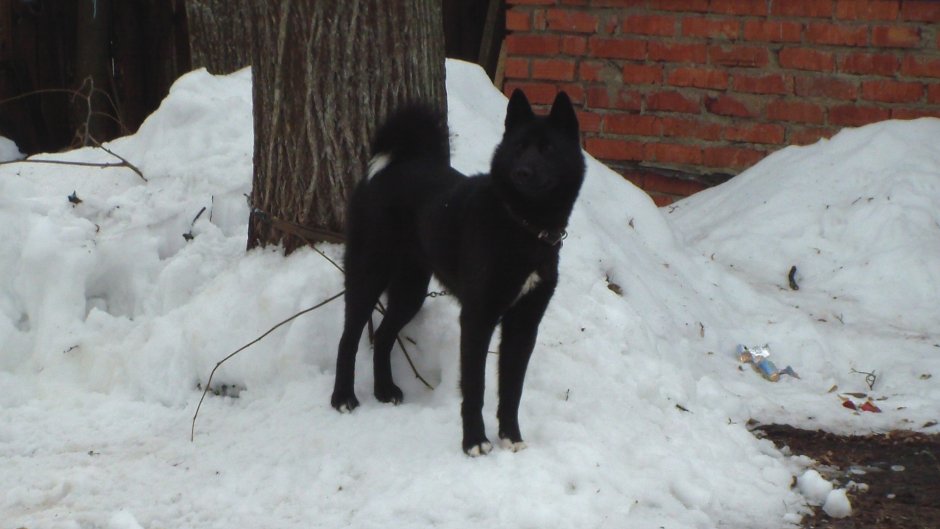 Сезон рел окончен
