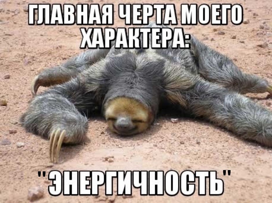 Мультяшный ленивца спит