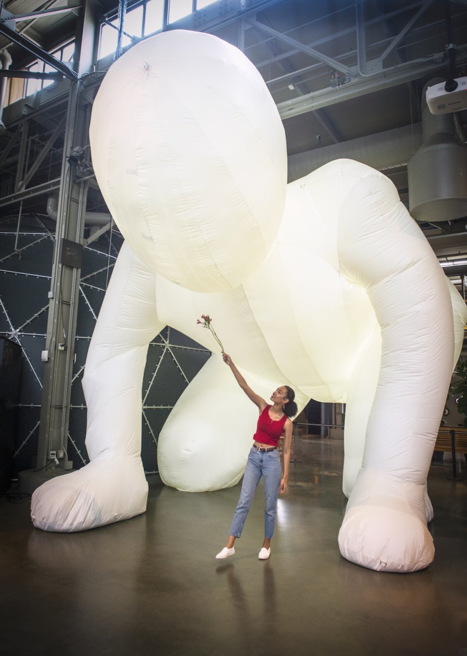 Паук крестовик Каракурт белый