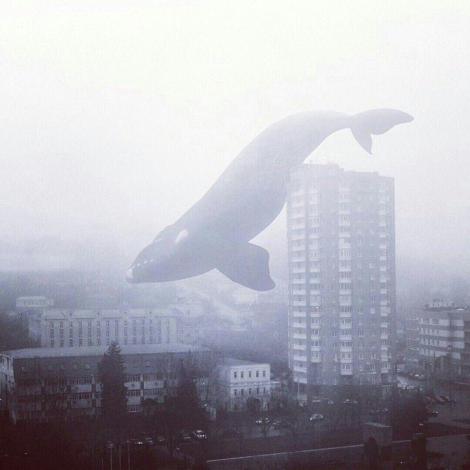Самые большие животные в мире