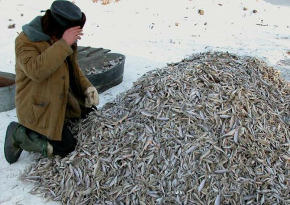 Сухое море