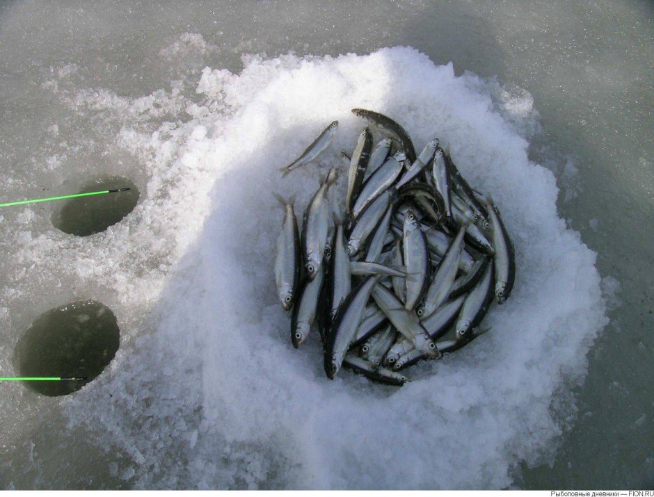 Мормышка на корюха