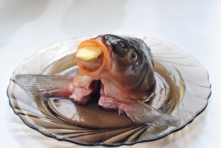 Рыбьи головы
