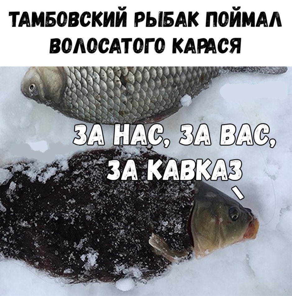 Карась прикол