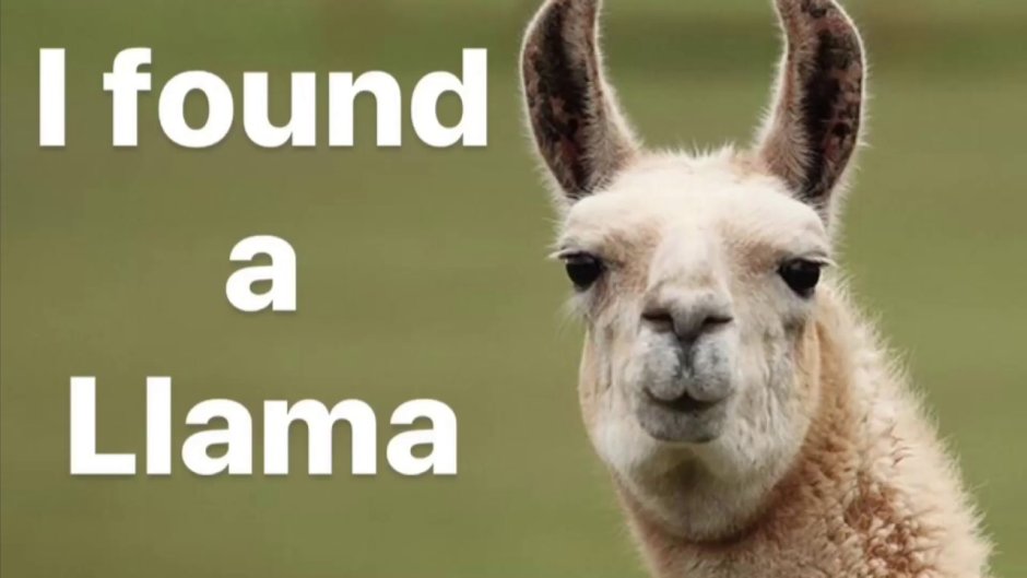Lama face'