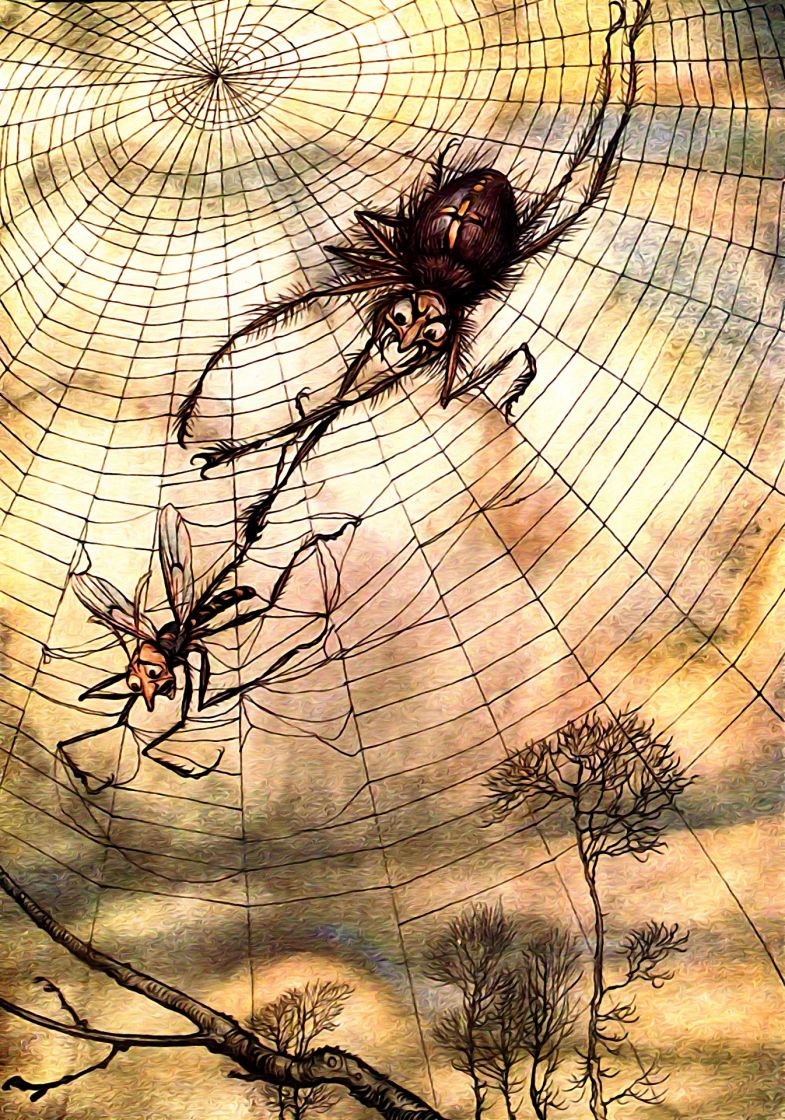 Паучки в паутине для детей