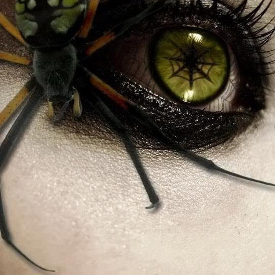 Муха всем сплетникам и завистникам