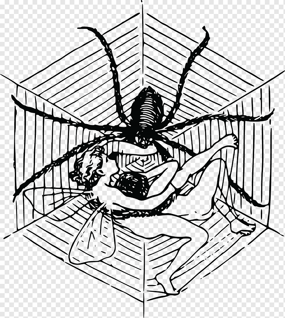 Необычные насекомые мира