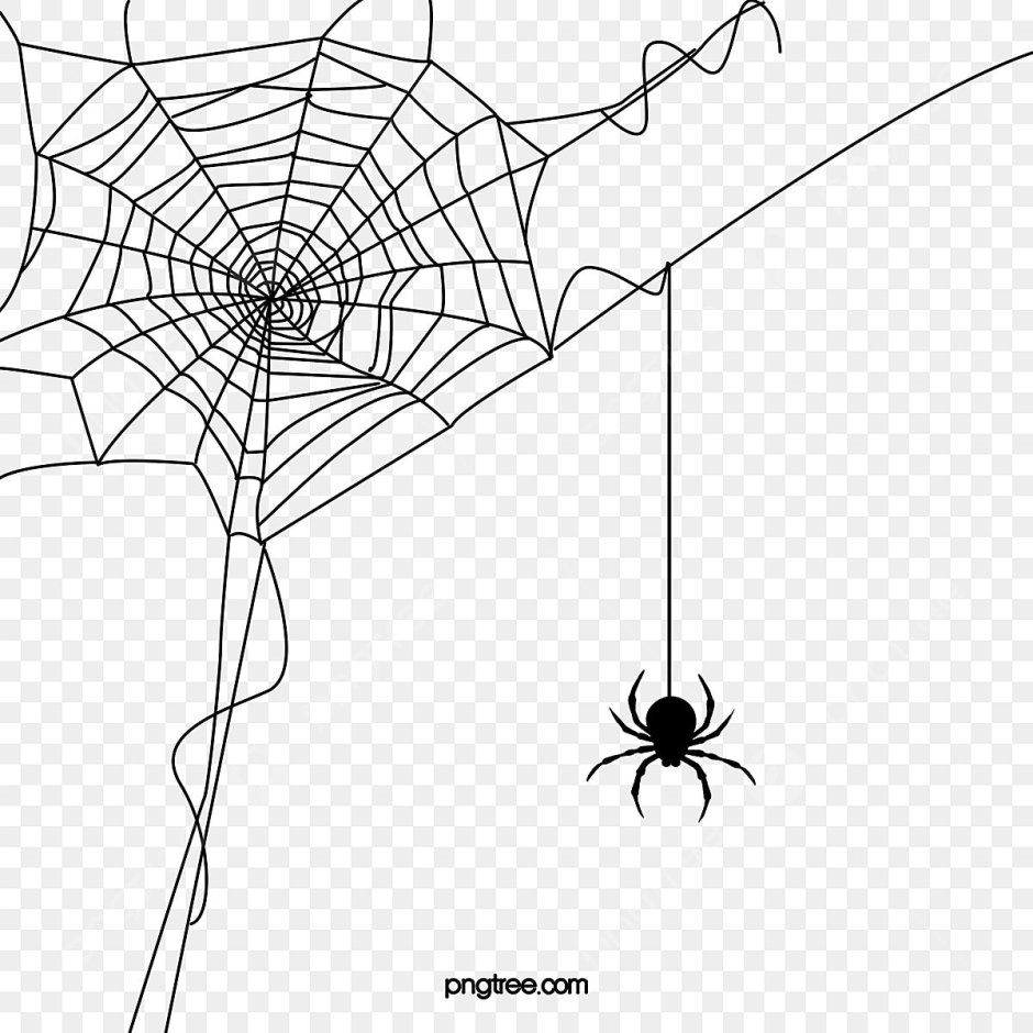 Паучок и Муха