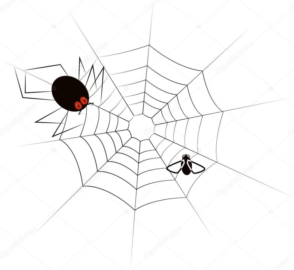 Муха в паутине для детей