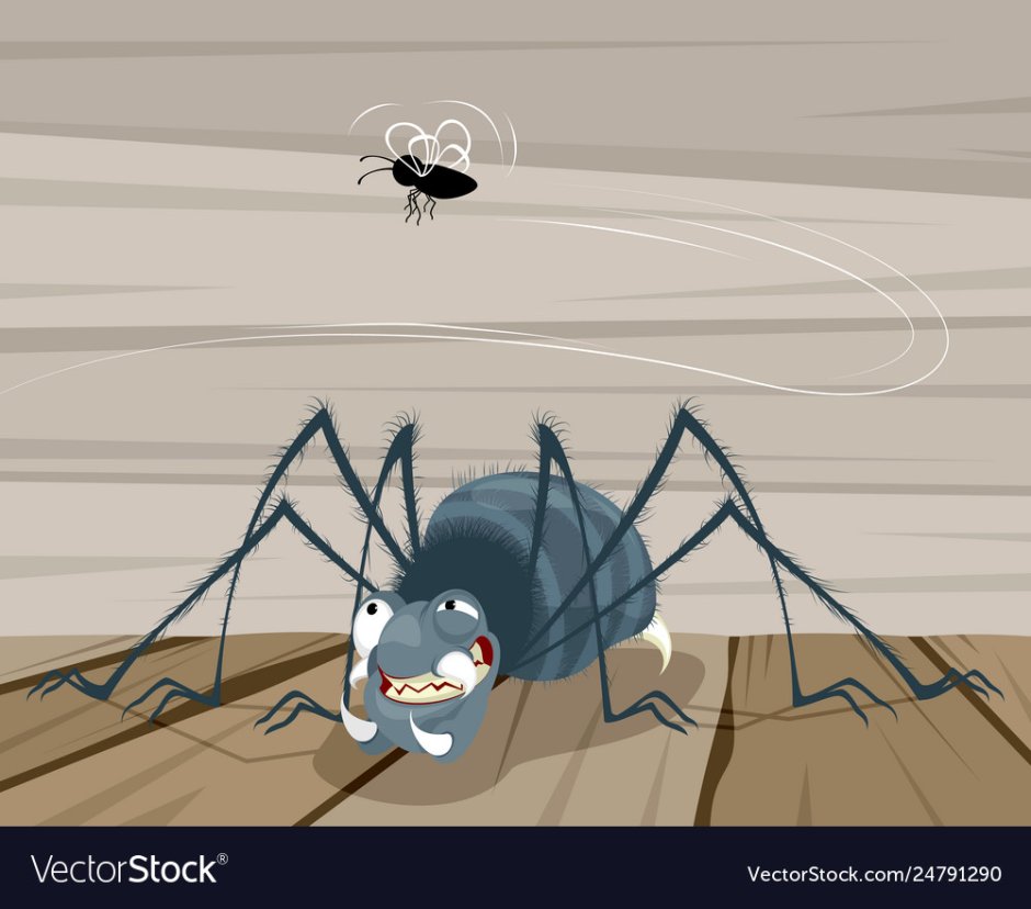 Паук крестовик ест муху