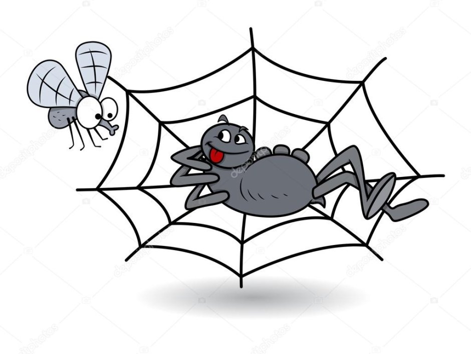 Муха застряла в паутине