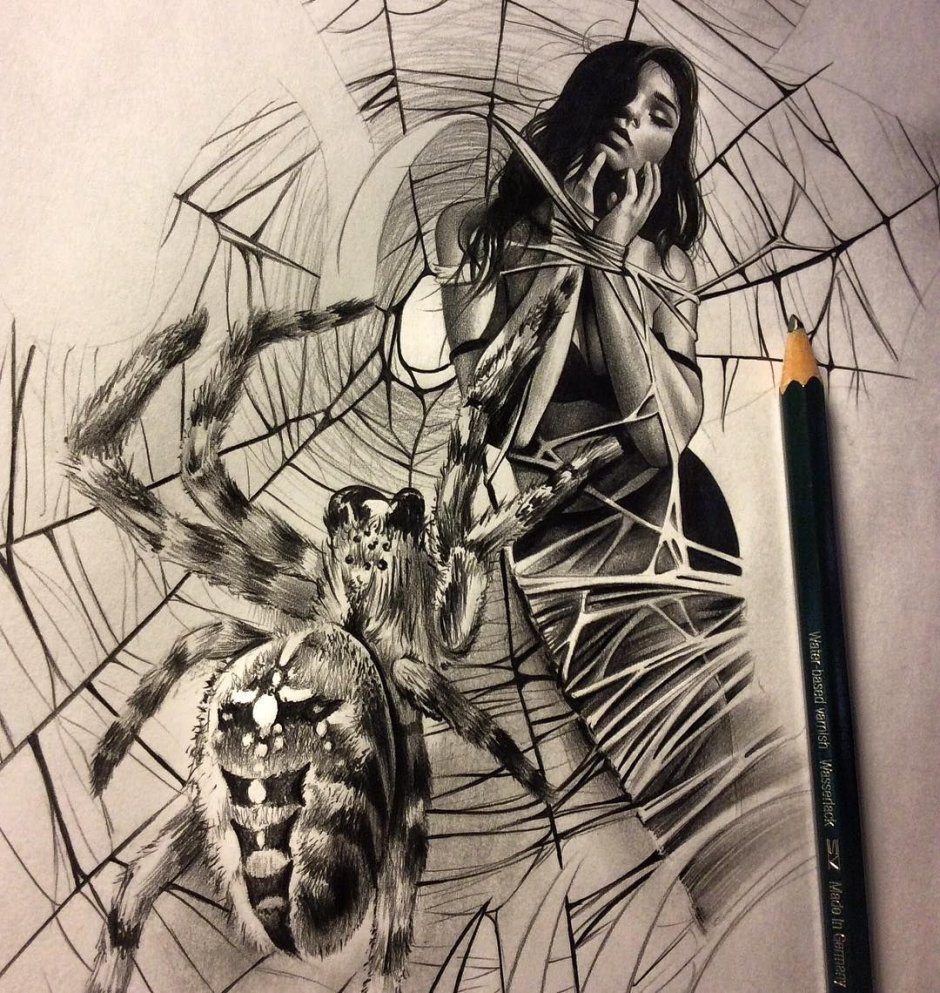 Муха в паутине для детей