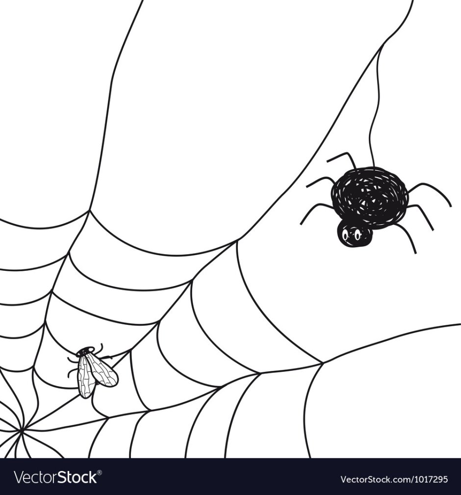 Нарисованная паутинка мелкая