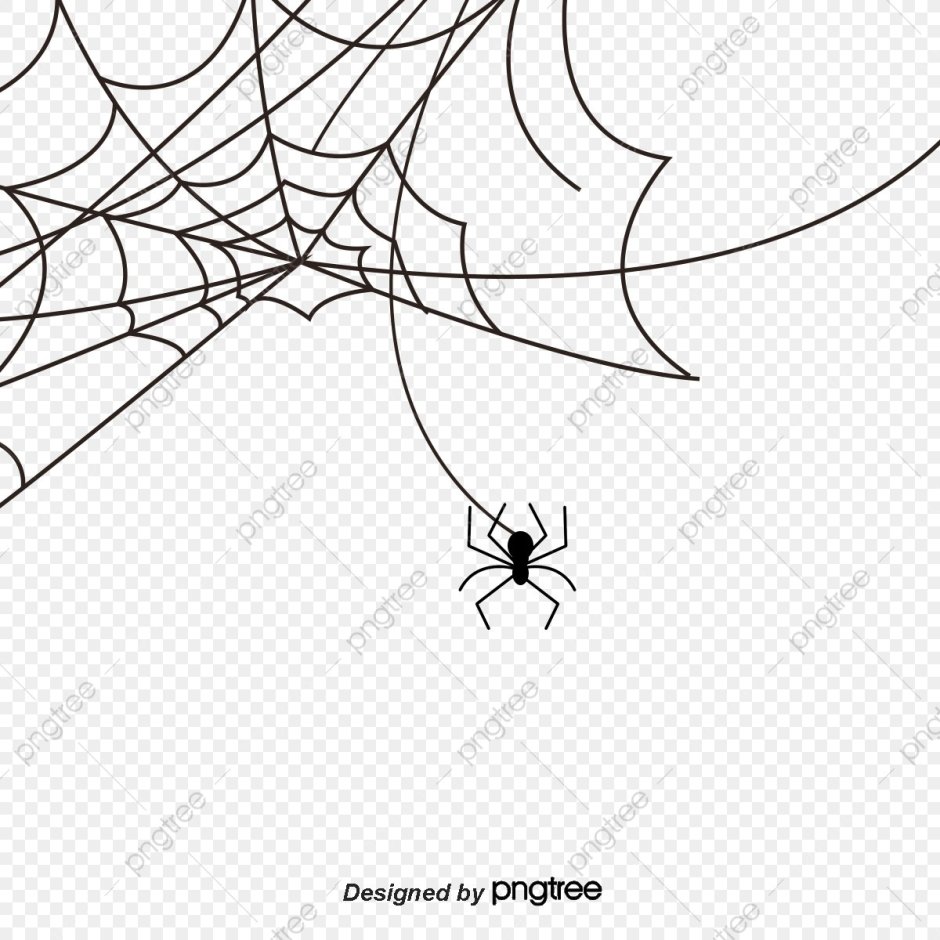 Паук с днем рождения