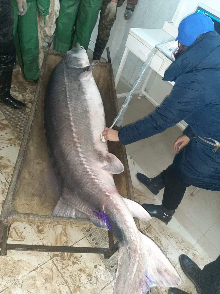 Самая чистая вода в Каспийском море