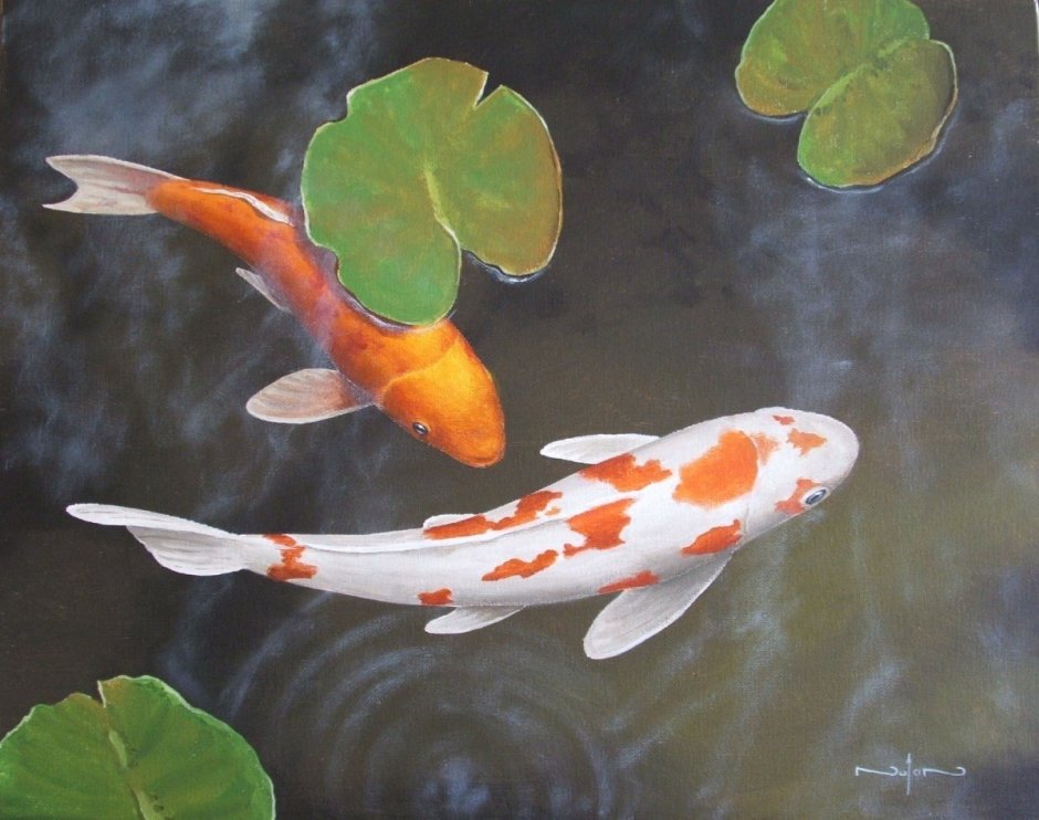 КОИС рыбки