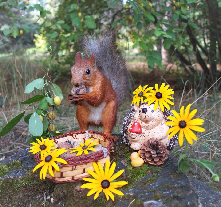 Белочка с ежиком