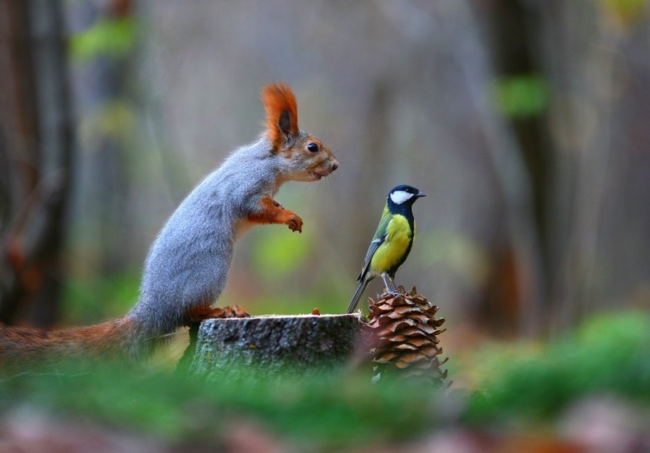 Вадим Трунов белки