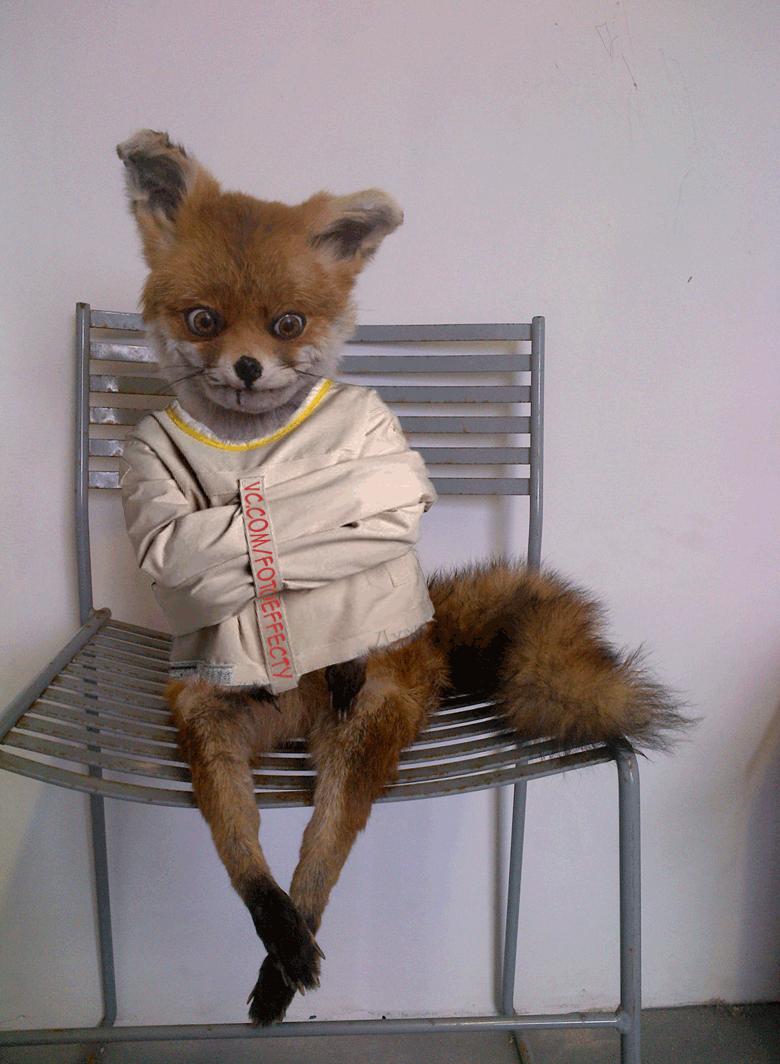 Чучело упоротой лисы