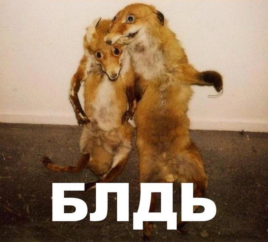 Пьяные лисы