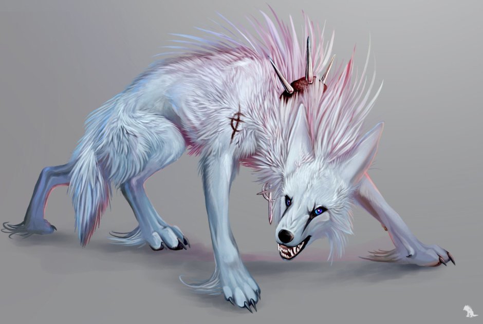 Необычные волки