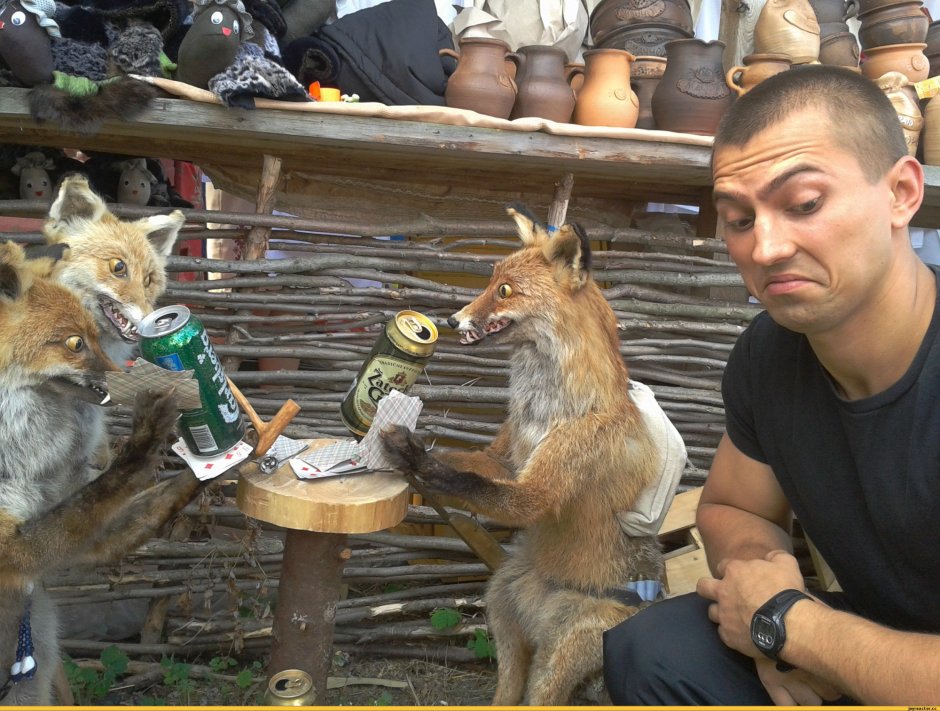 Лис таксидермист