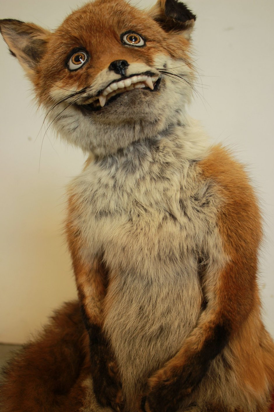 Упоротый Лис чучело