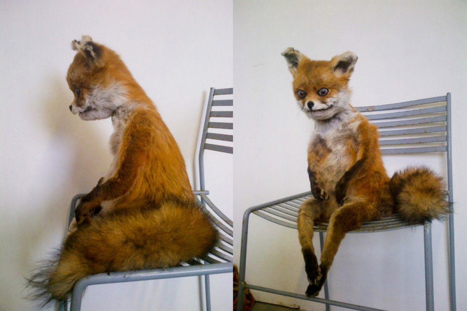 Адель и упоротый Лис