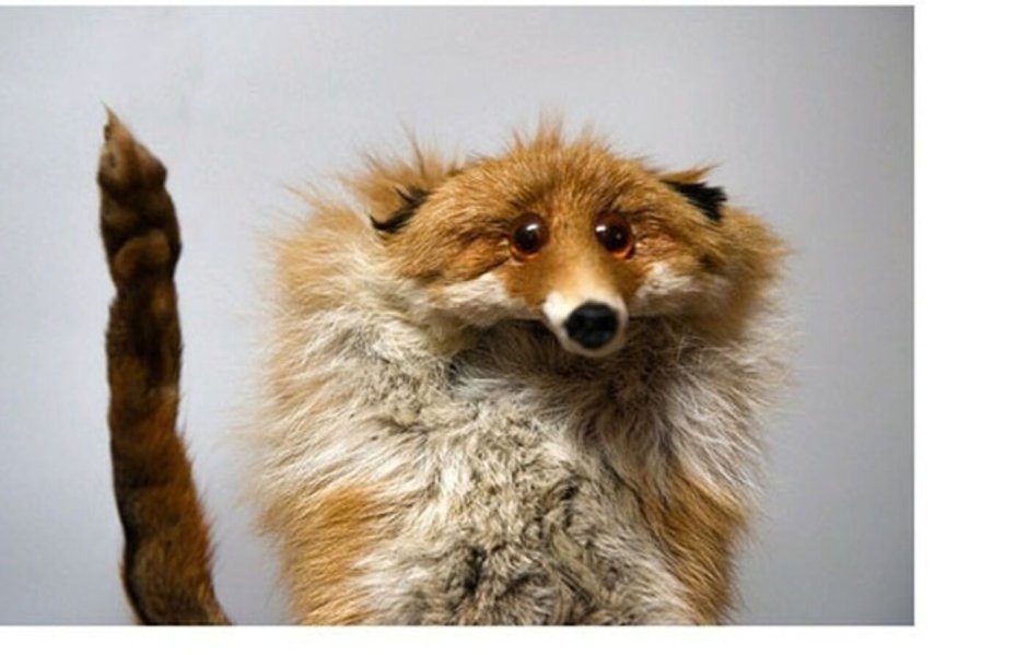 Wood Splitter Lee лиса