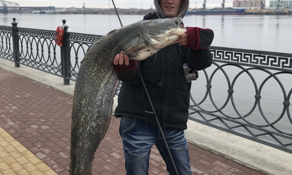 Озеро Байкал осетр