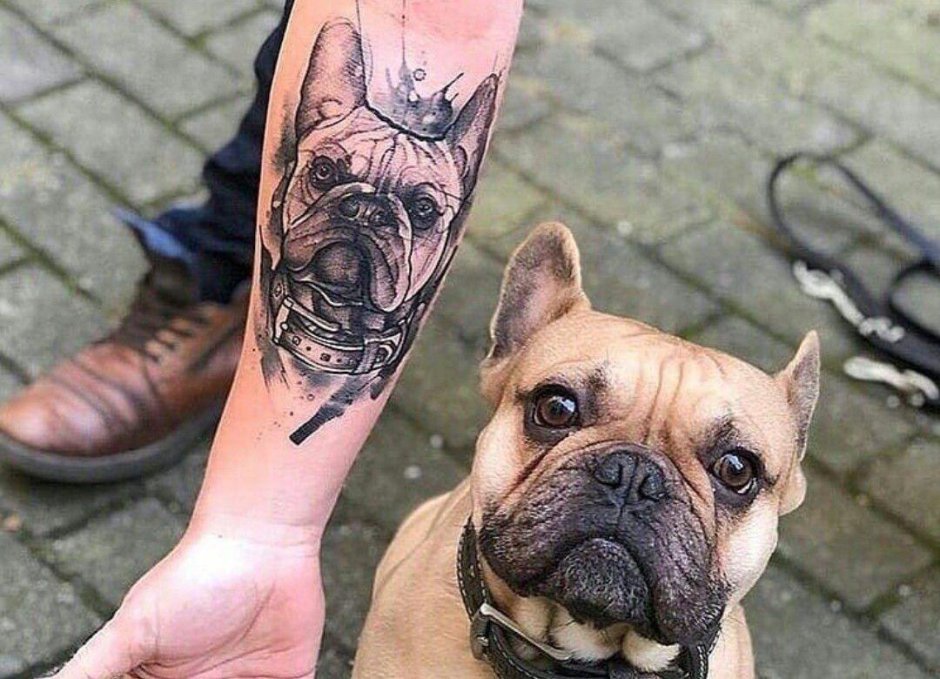 Тату бульдог