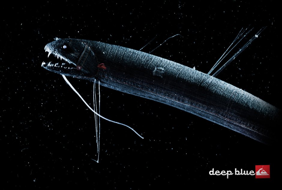 Рыба удильщик Марианская впадина