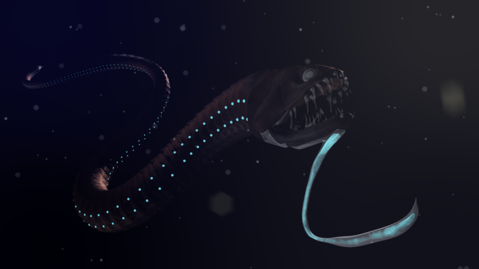 Атлантический идиакант