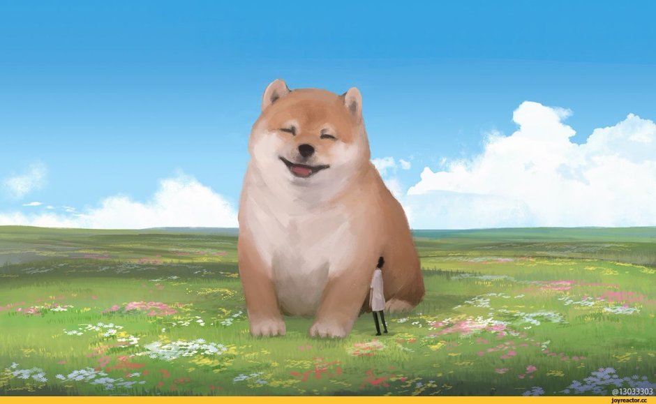 Шиба ину с кошкой