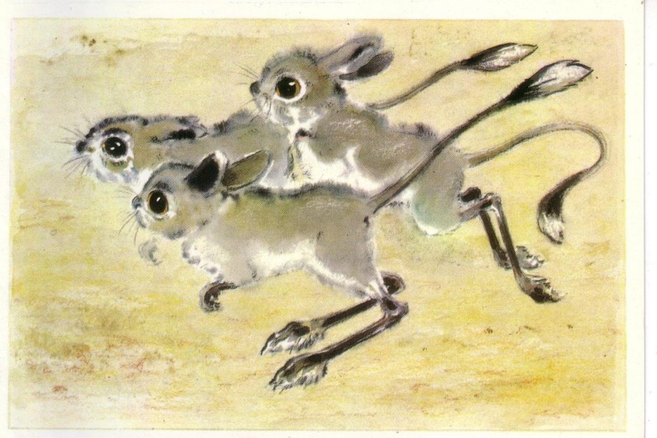 Мохноногий тушканчик (dipus Sagitta)