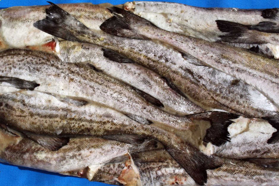 Рыба мороженая пикша