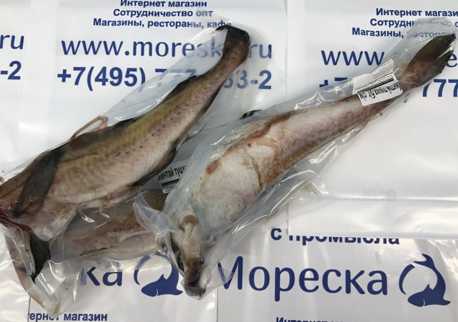 Самая большая треска