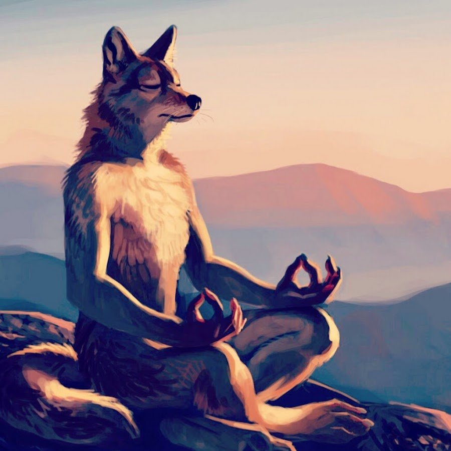 Как нарисовать койота 2 класс