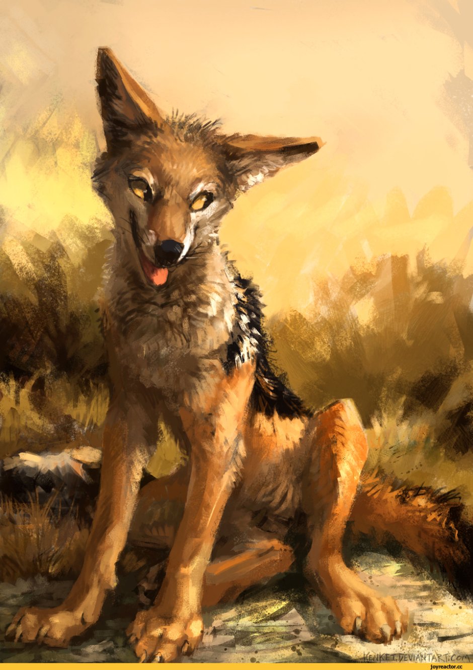 Чепрачный Шакал арт