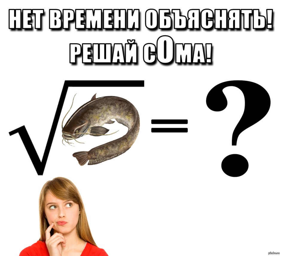 Сом мемы
