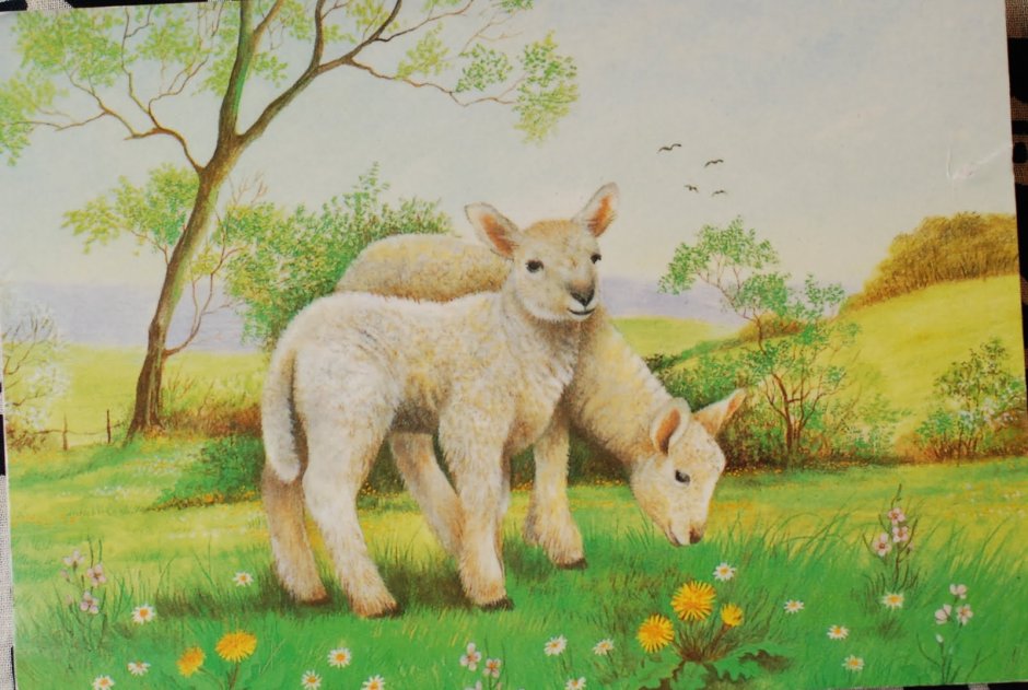 Папаня мультфильм волк