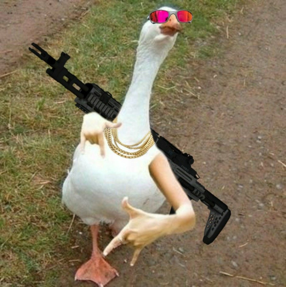 Смешной Гусь