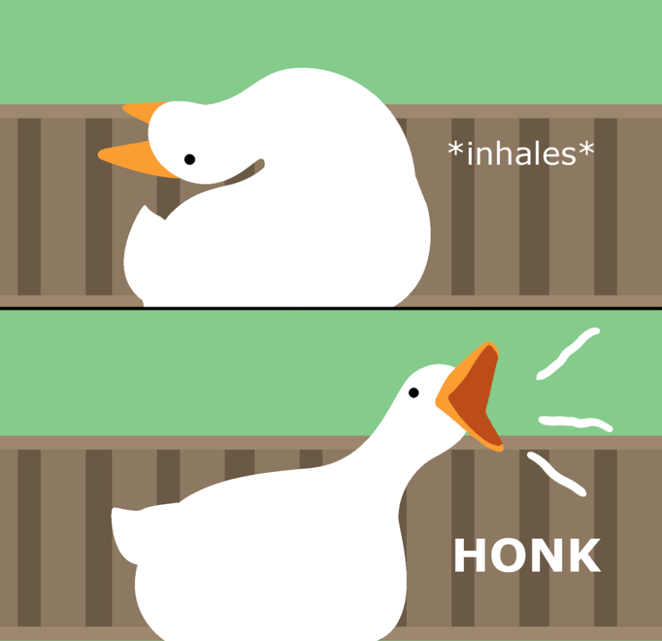 Handsome Duck