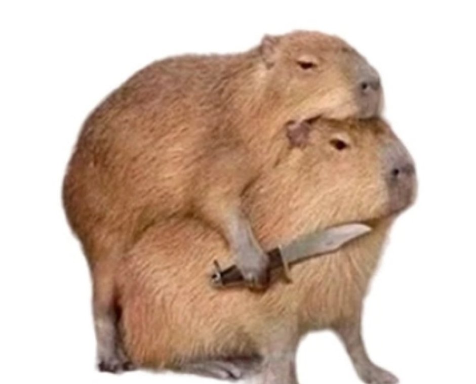 Капибара с птицей