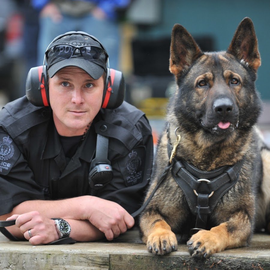 Полицейский с собакой