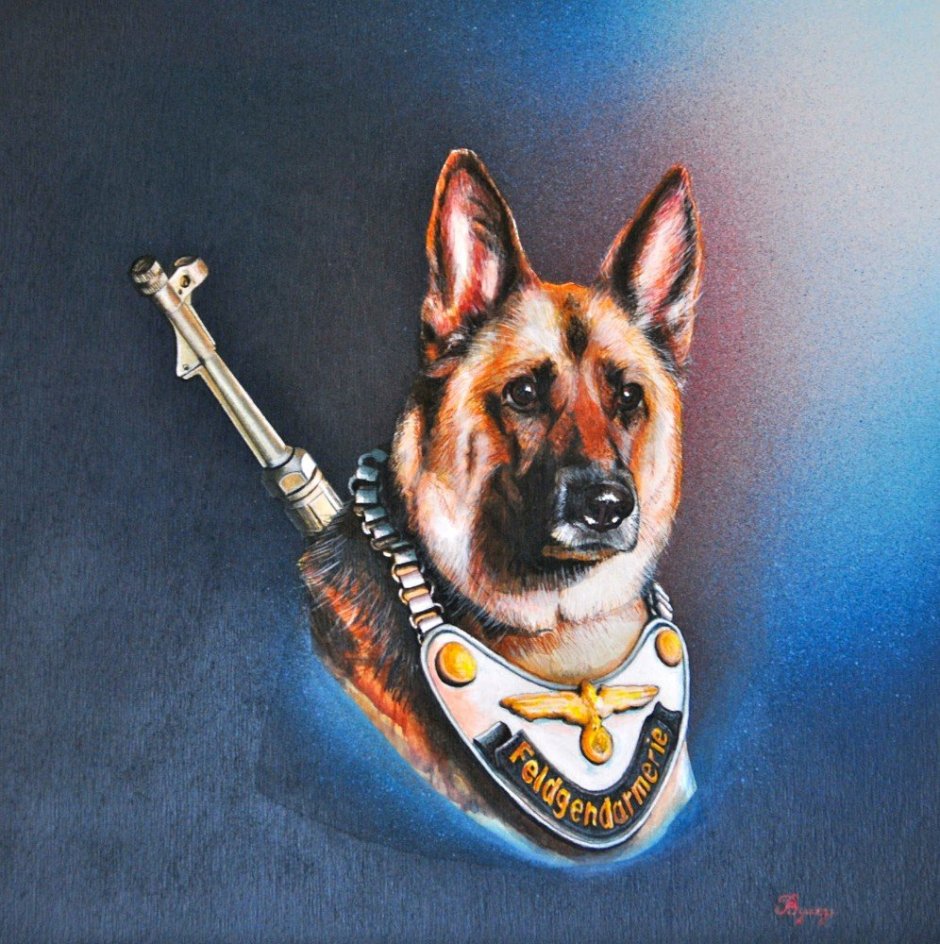 Немецкая овчарка Военная арт