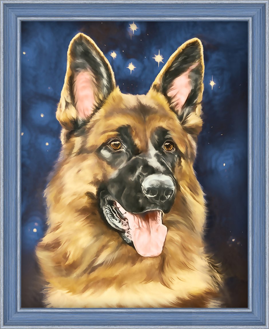 Алмазная живопись набор алмазной вышивки портрет овчарки (аж-1539) 20х25 см